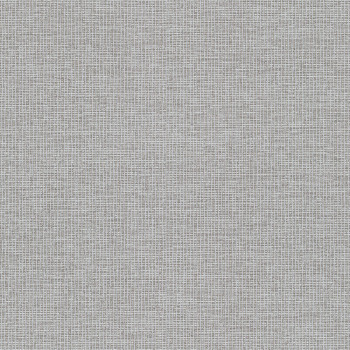 Štruktúrovaná sivá vliesová tapeta A47012, Vavex 2024