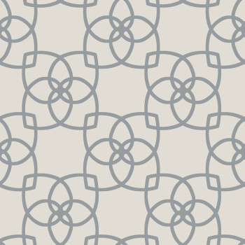 Sivá vliesová tapeta so striebornými ornamentami Y6200205, Dazzling Dimensions 2, York