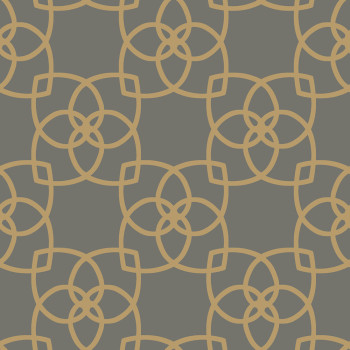 Luxusná hnedo-zlatá vliesová tapeta s ornamentmi Y6200204, Dazzling Dimensions 2, York
