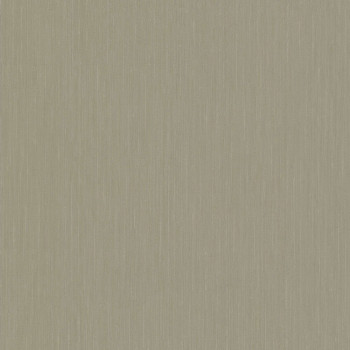 Sivá vliesová tapeta na stenu, 220422, Preloved, BN Walls