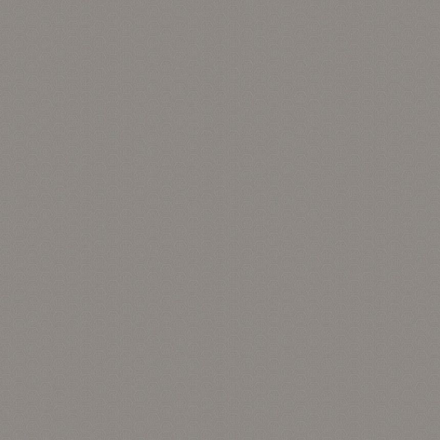 Sivá geometrická vliesová s vinylovým povrchom. Z80060 Philipp Plein, Zambaiti Parati