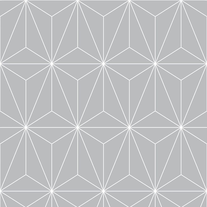 Strieborná vliesová tapeta geometrický vzor 104740, Formation, Graham & Brown