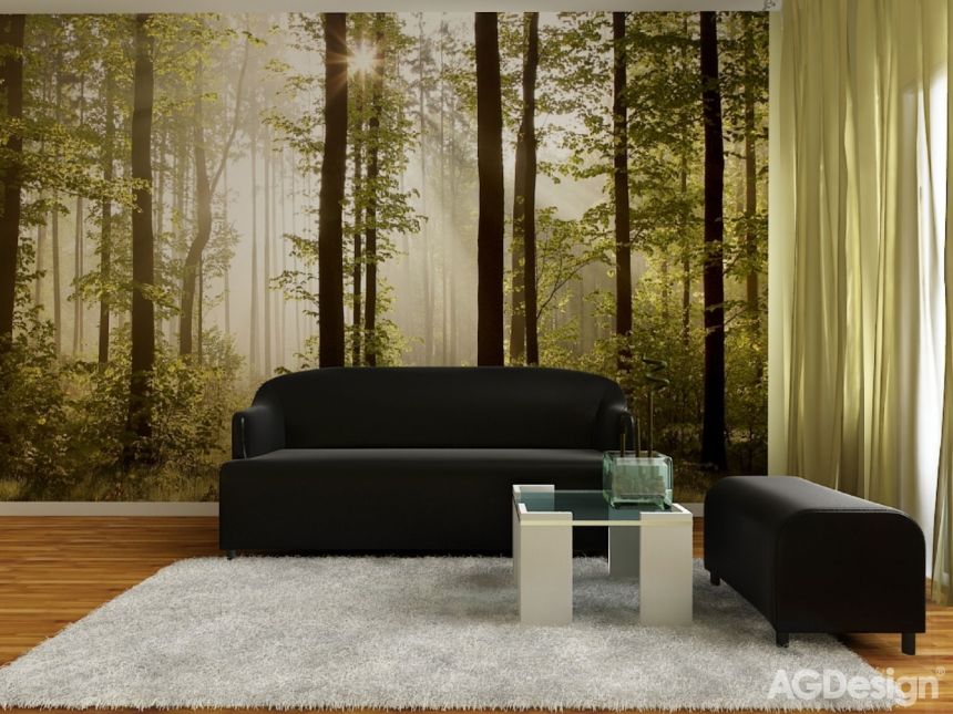 Papírová fototapeta na zeď-Les, stromy, příroda-FTS 0181, 360 x 254 cm, AG Design