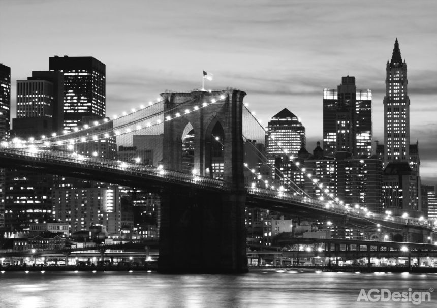 Fototapeta na zeď FTS 0199, Brooklynský most černobílý, 360 x 254 cm, AG Design
