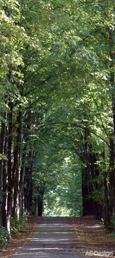 Fototapeta na zeď  FTN V 2807, Stromy, Park, 90 x 202 cm, AG Design