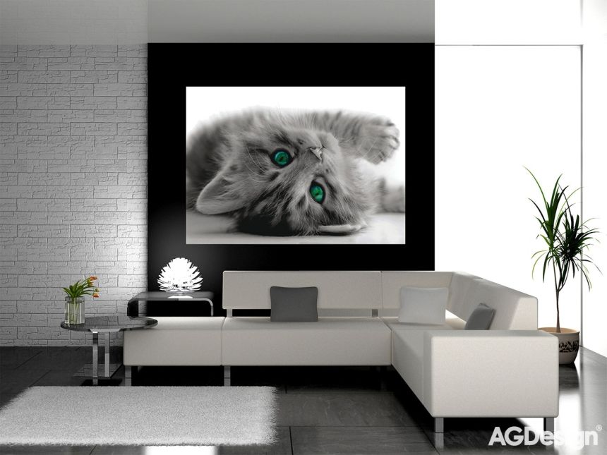 Vliesová obrazová tapeta FTN M 2605, Kočka, Kotě, 160 x 110 cm, AG Design